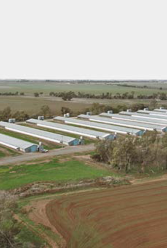 Water Treatment for Chicken Farm Feed Water, Australia