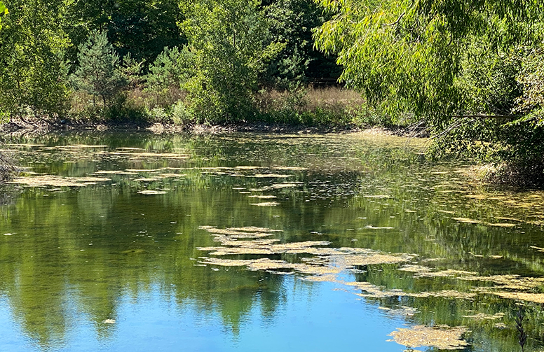 Filtration for Removing Weed Seeds From Irrigation Water